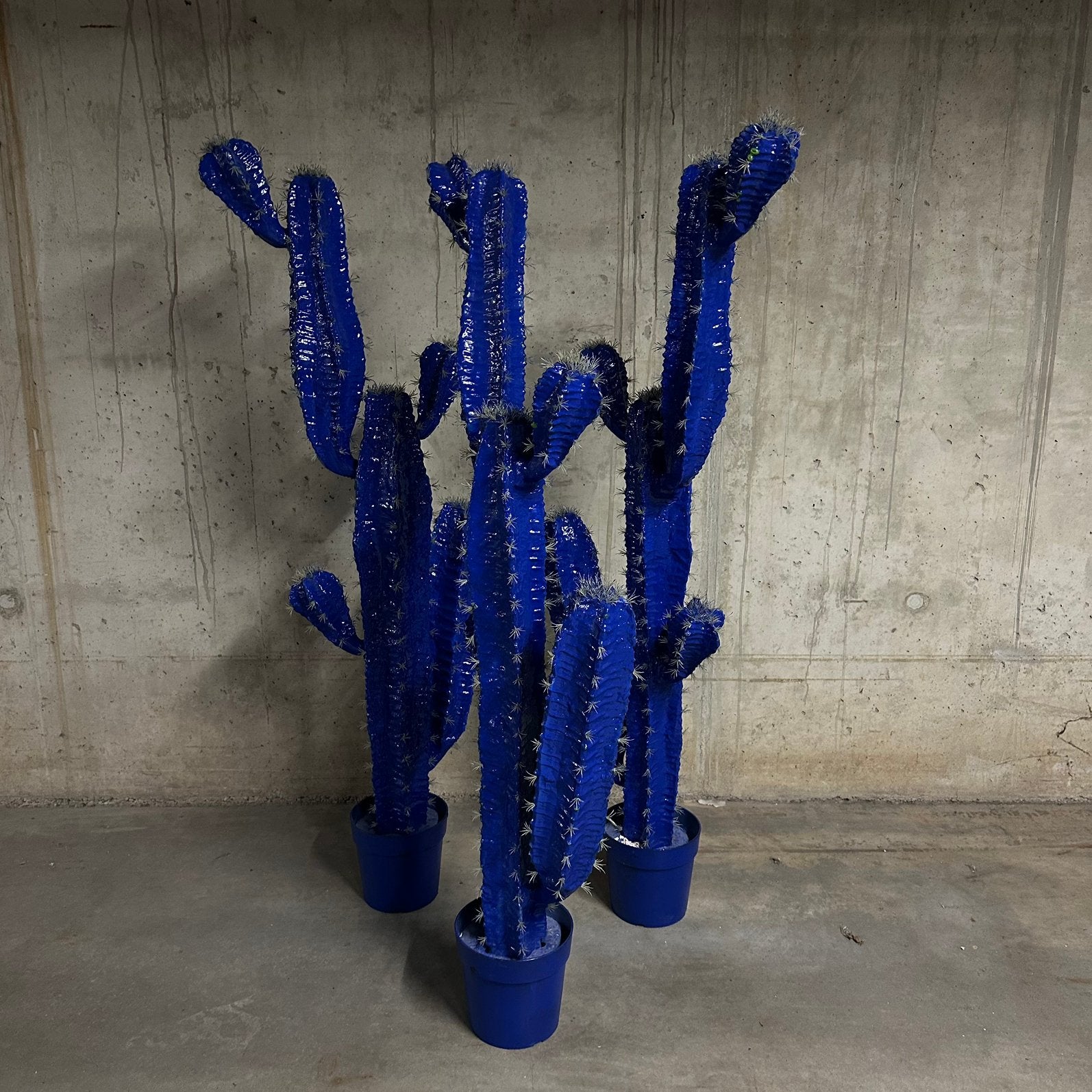 Cactussen in zwaar plastiek, Ophalen, Zo goed als nieuw