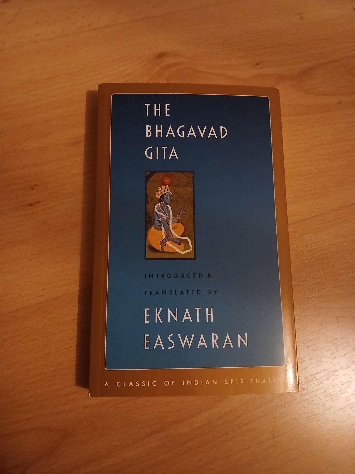 The Bhagavad Gita (nieuw), Boeken, Ophalen of Verzenden
