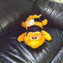 knuffel, Enlèvement