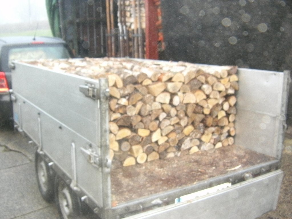 Bois de chauffage 33cm ,, Enlèvement, Bouleau, Bûches