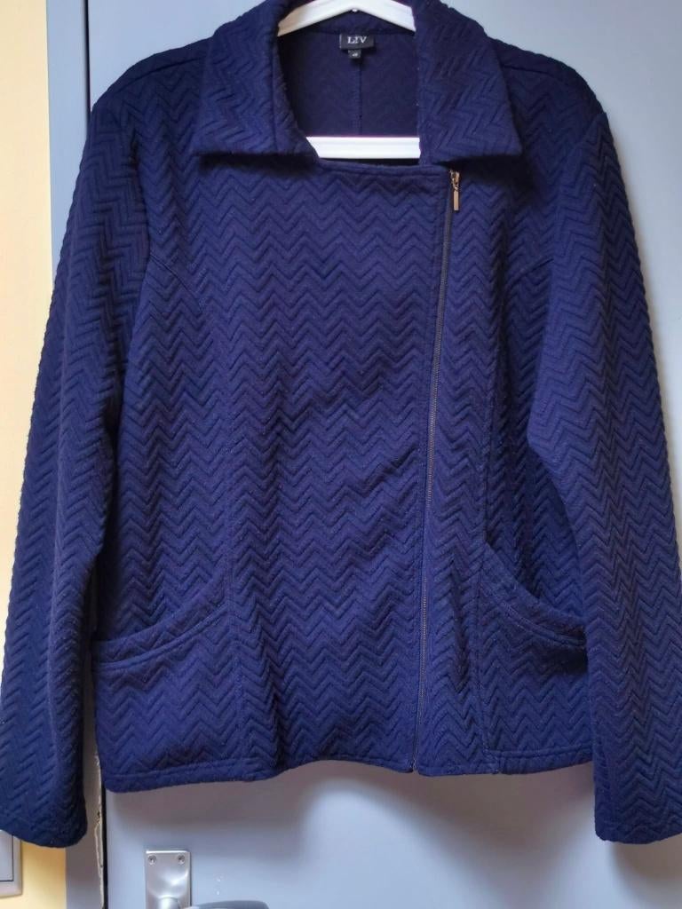 Jasje maat 48 - LIV, Kleding | Dames, Ophalen of Verzenden, Zo goed als nieuw, Maat 46/48 (XL) of groter, Blauw