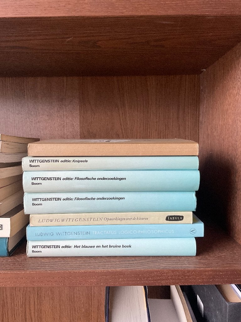 collectie Wittgenstein boeken 22 stuks, Livres, Philosophie, Enlèvement, Utilisé, Général
