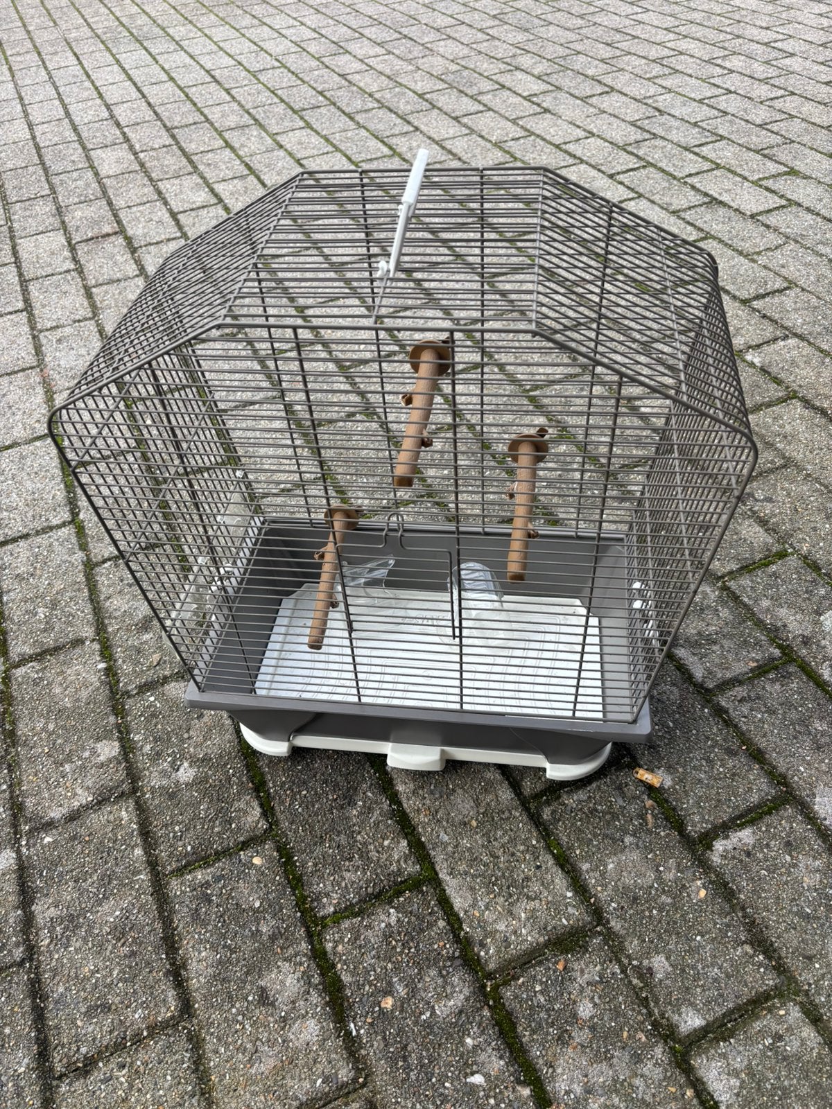 Vogelkooi, Dieren en Toebehoren, Ophalen, Zo goed als nieuw, Vogelkooi