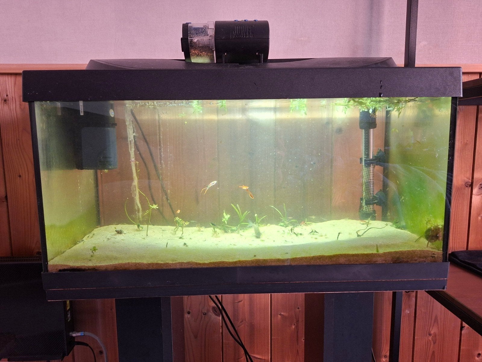 Aquarium de 60 L avec poissons et accessoires, Enlèvement, Utilisé, Tetra