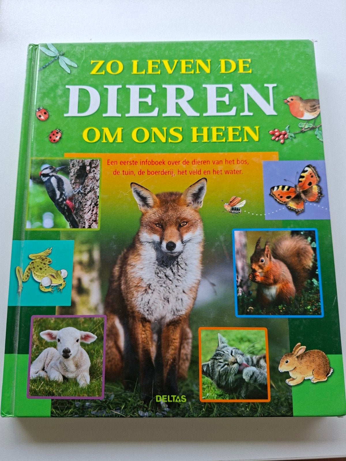 Jannes De Vries - Zo leven de dieren om ons heen, Enlèvement ou Envoi, Comme neuf, Jannes De Vries