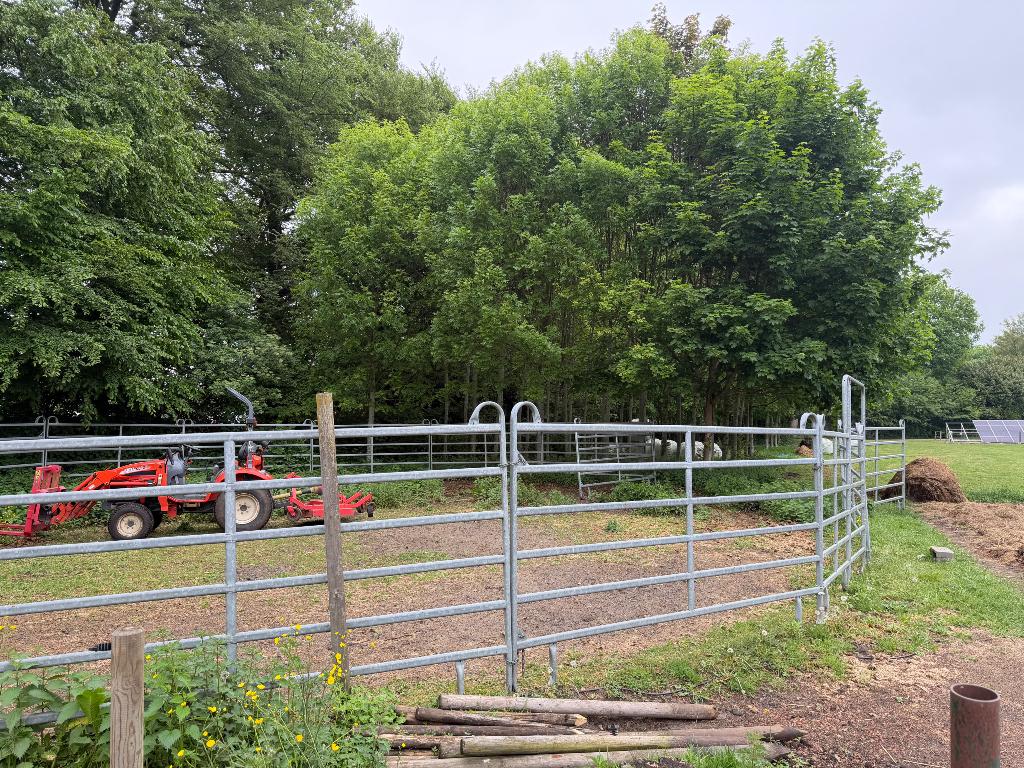 Roundpen paarden, Dieren en Toebehoren