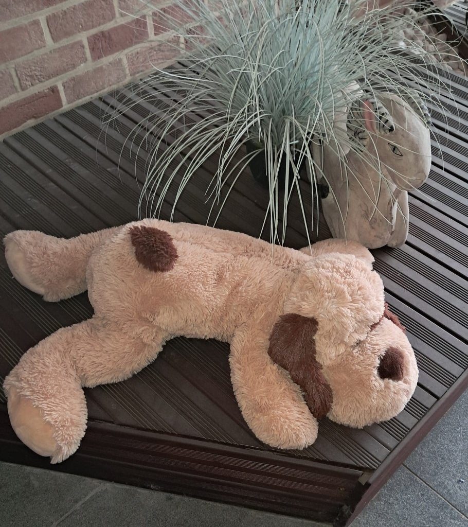 Grand chien en peluche, Enlèvement, Utilisé, Beige, Chien