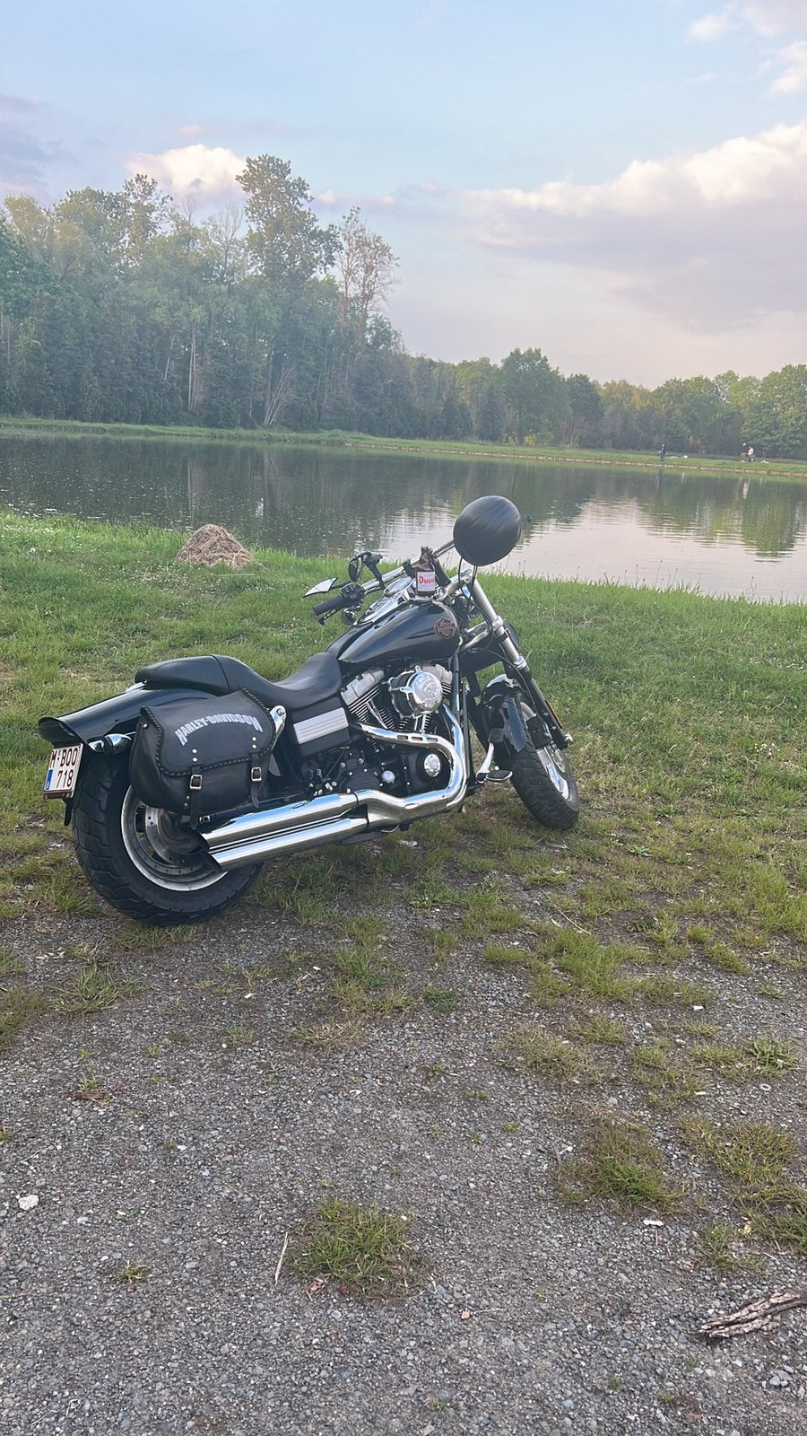 Fatbob2008, Motoren, Particulier