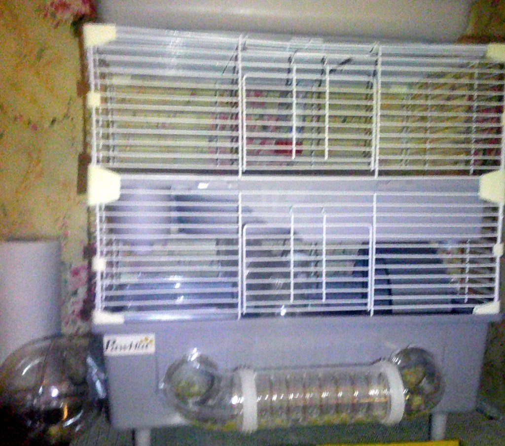 vend cage hamster, Enlèvement, Neuf, Cage, Hamster