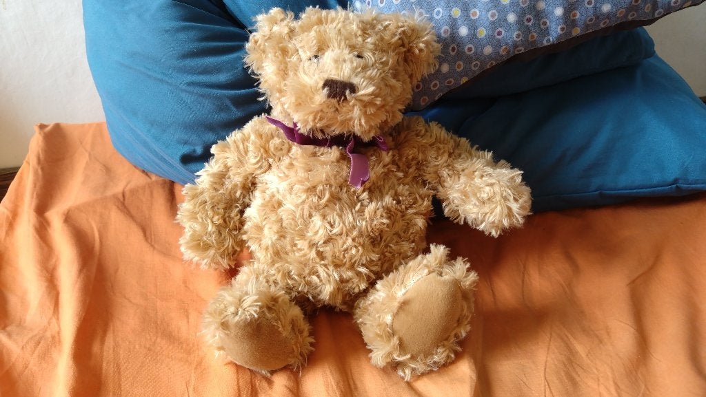 Câlins d'ours chauds et douillets d'Aroma Home, Enlèvement, Neuf, Autres types, Autres marques