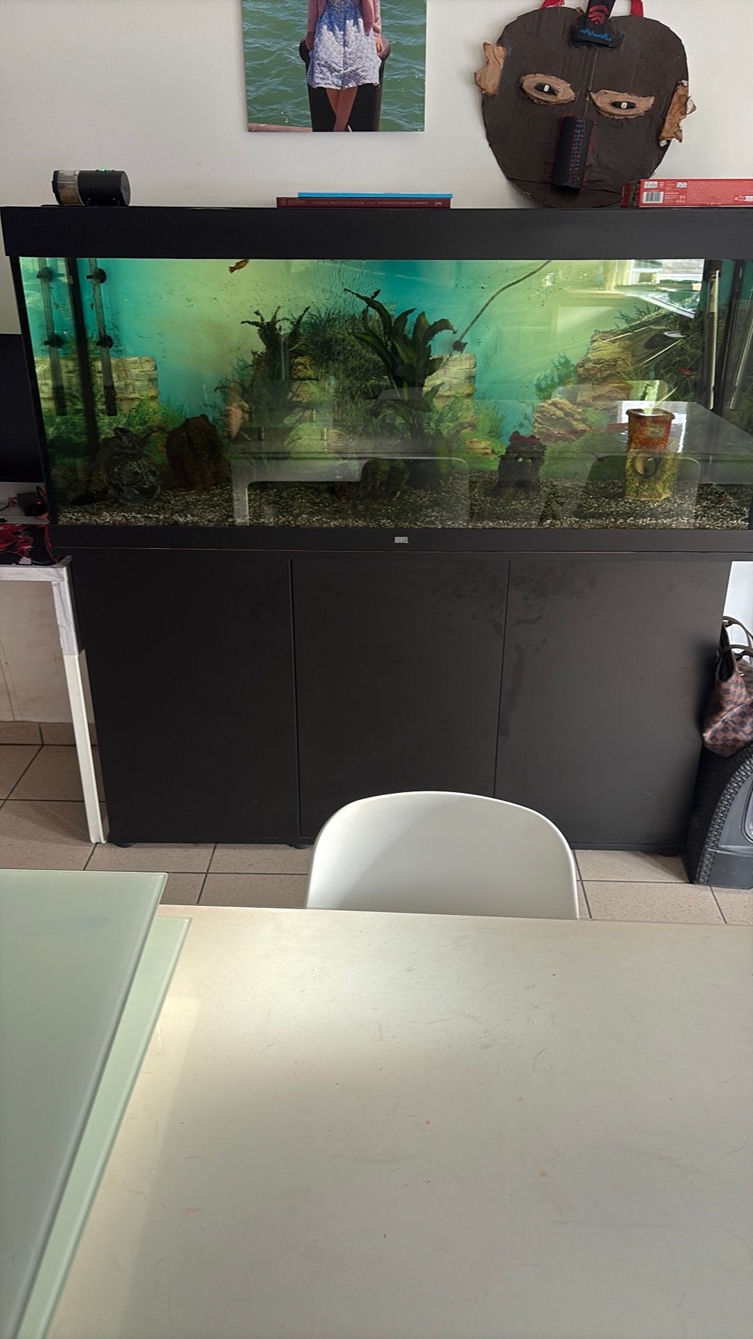 Juwel 450 liter, Gebruikt, Leeg aquarium, Juwel, Ophalen