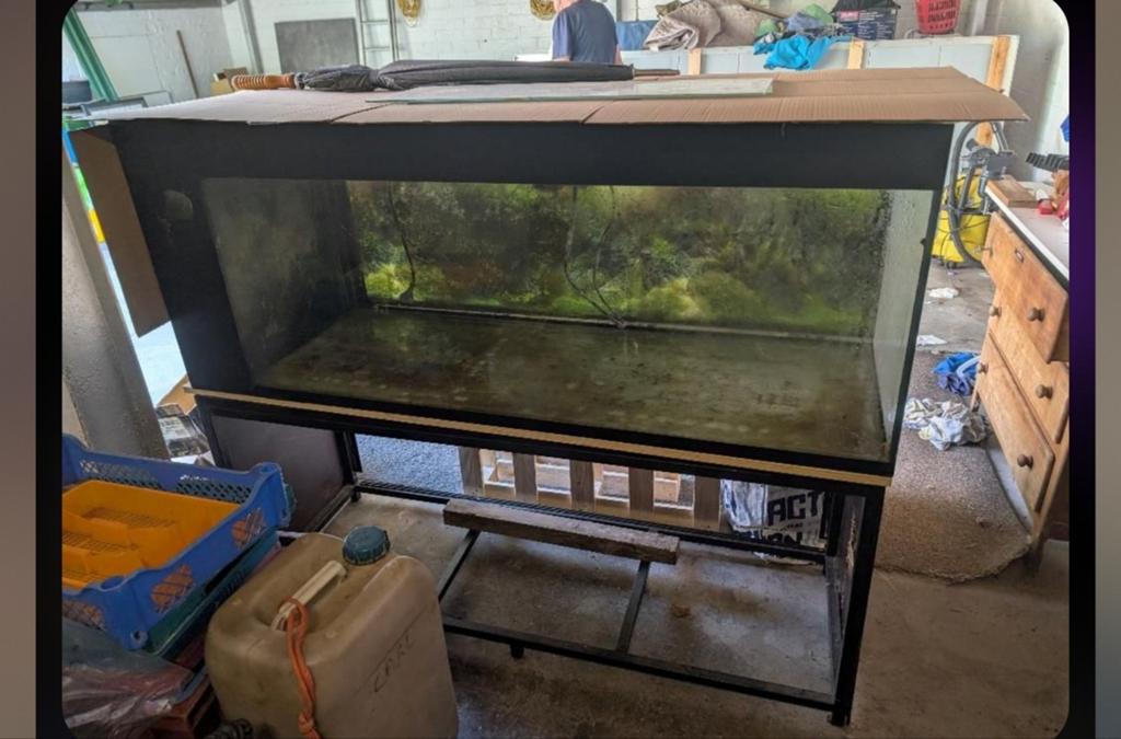 Aquarium, Dieren en Toebehoren, Ophalen