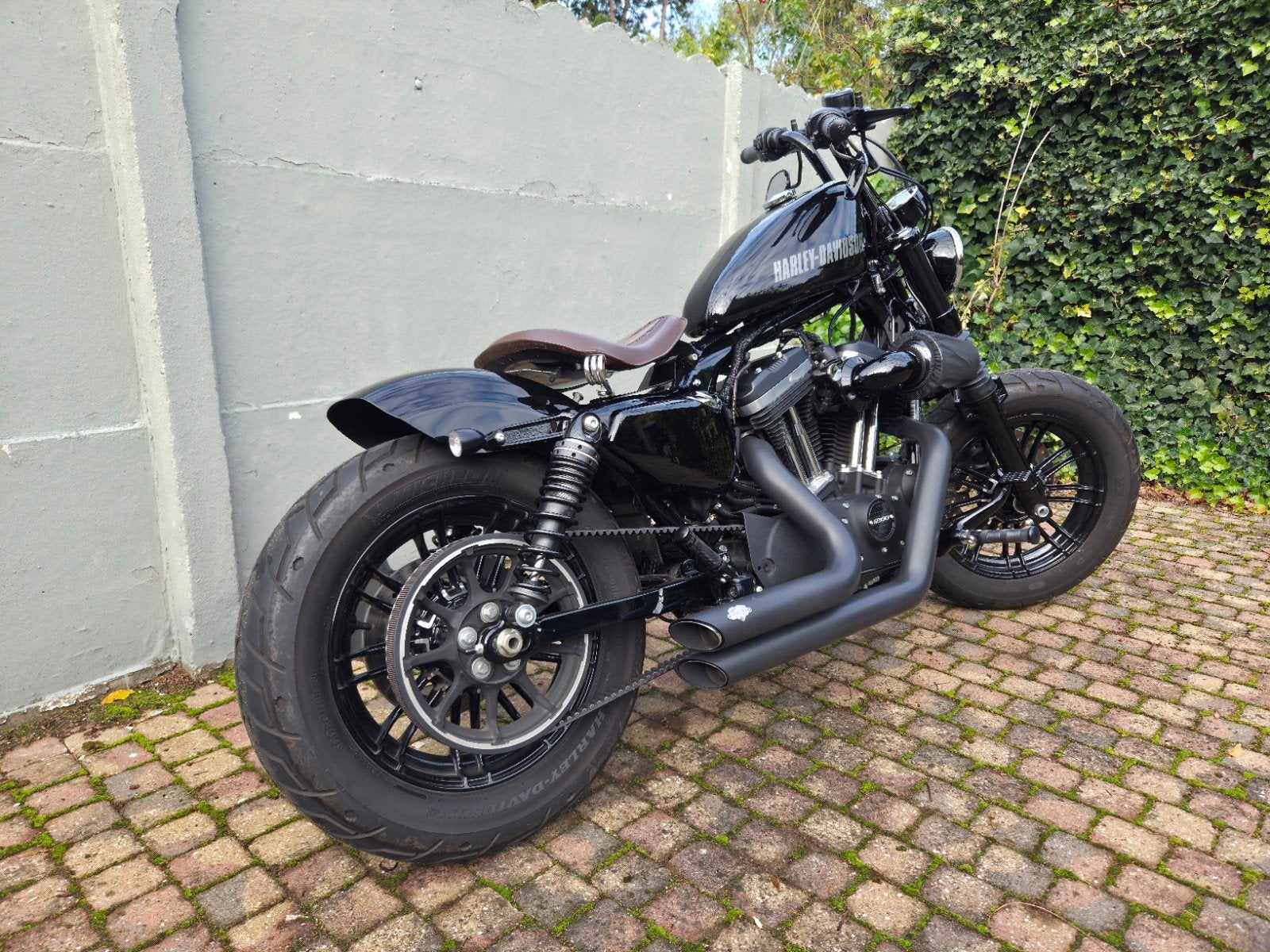 Harley Davidson 48, Chopper