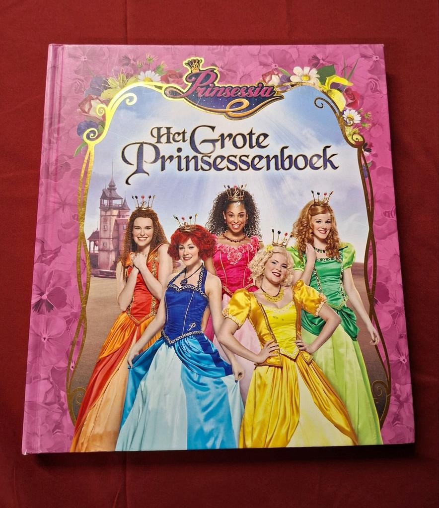 Boek studio 100 : het grote prinsessenboek, Enlèvement ou Envoi