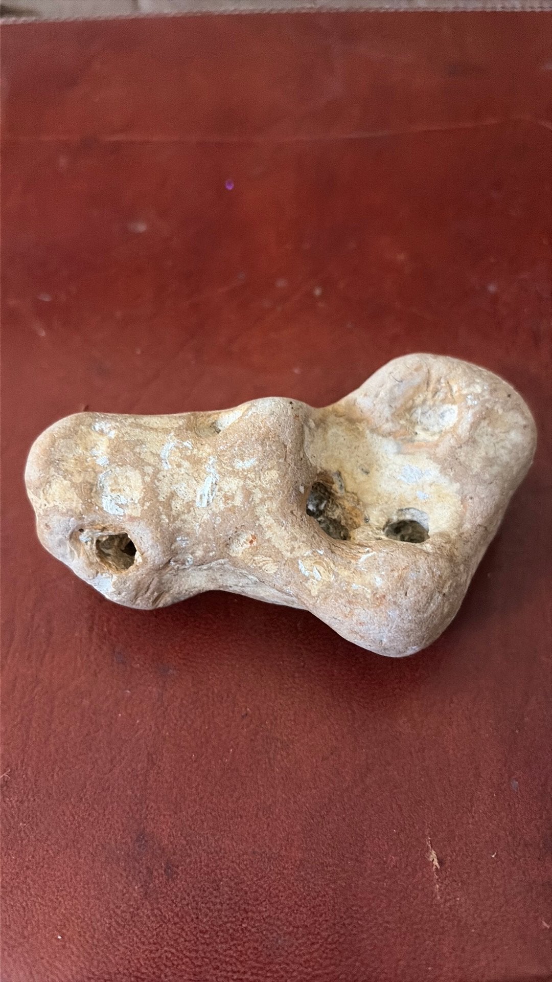Grillige Hagstone Heksensteen Vuursteen fossiele gaten, Antiek en Kunst, Ophalen of Verzenden