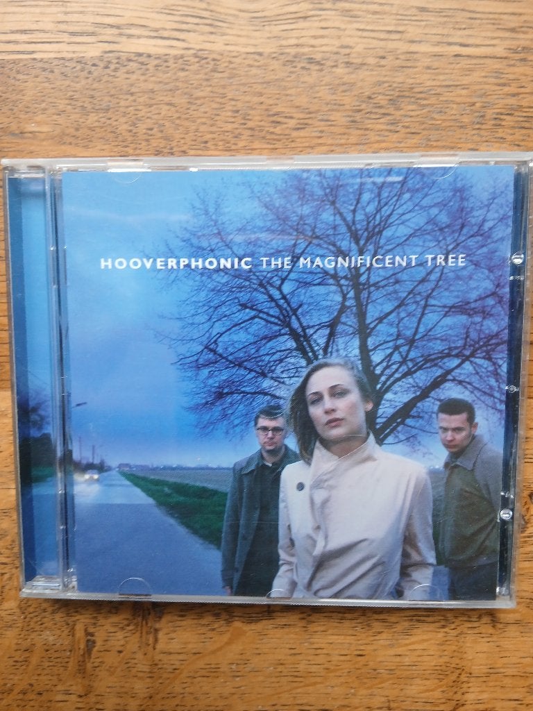 CD Hooverphonic : The Wishing Tree, Enlèvement
