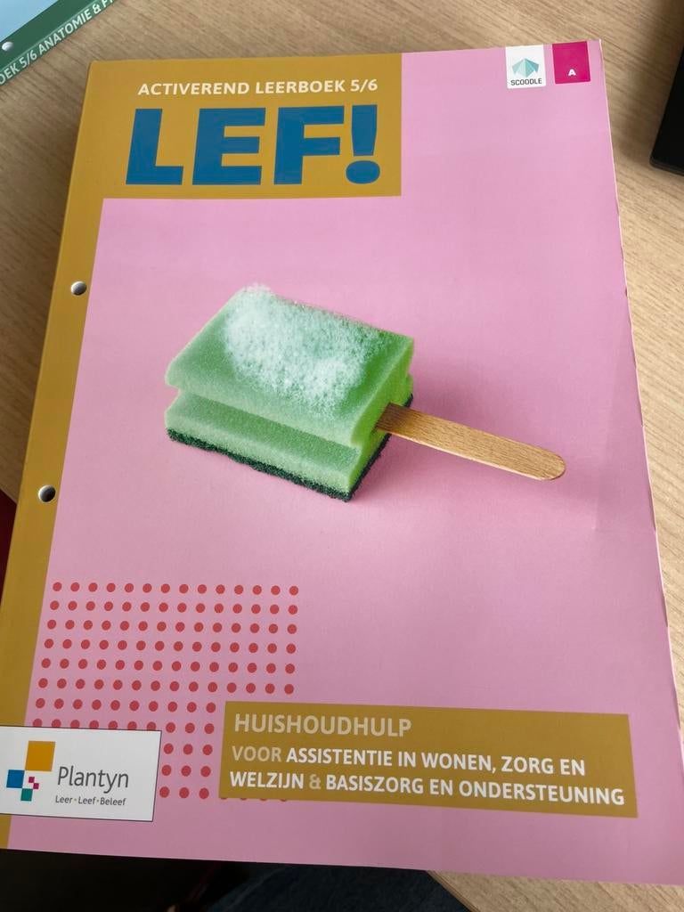 Huishoudhulp assistentie zorg en wonen en baon, Livres, Livres scolaires, Enlèvement, Neuf, Économie domestique ou Soins du ménage