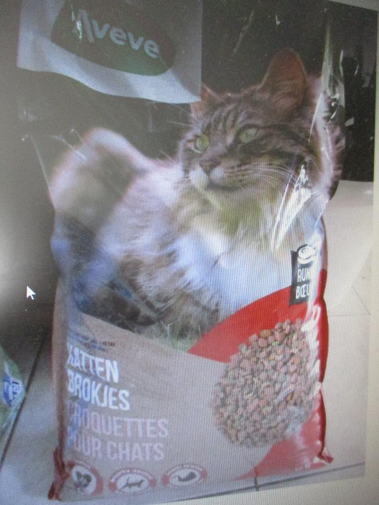 kattenbrokken, Dieren en Toebehoren, Dierenvoeding, Kat, Ophalen