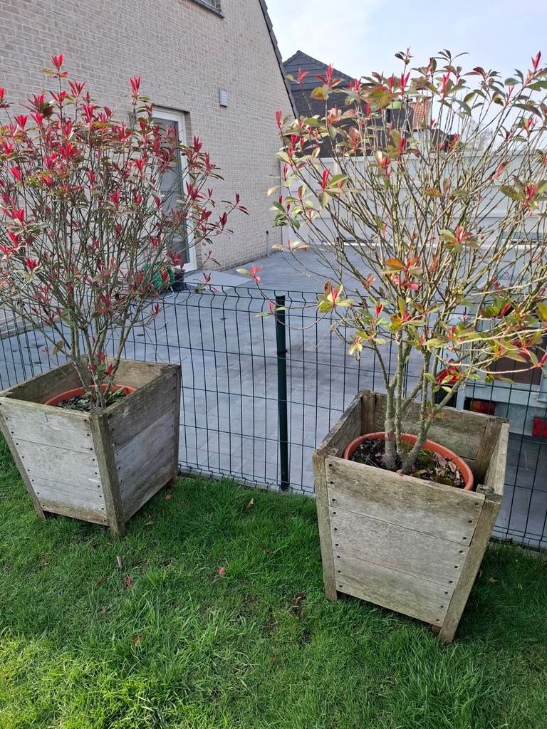 2 bacs à fleurs, Enlèvement