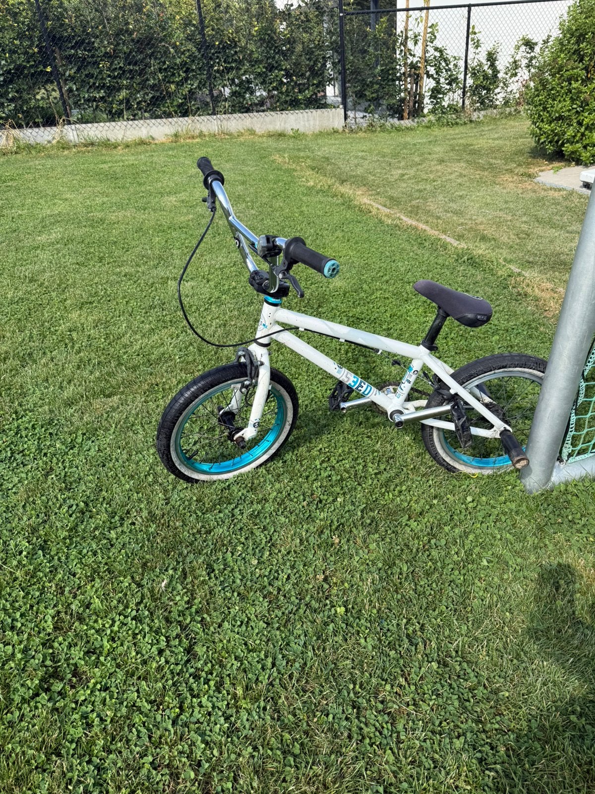 We The People (wtp) seed kinder bmx, Ophalen, Gebruikt