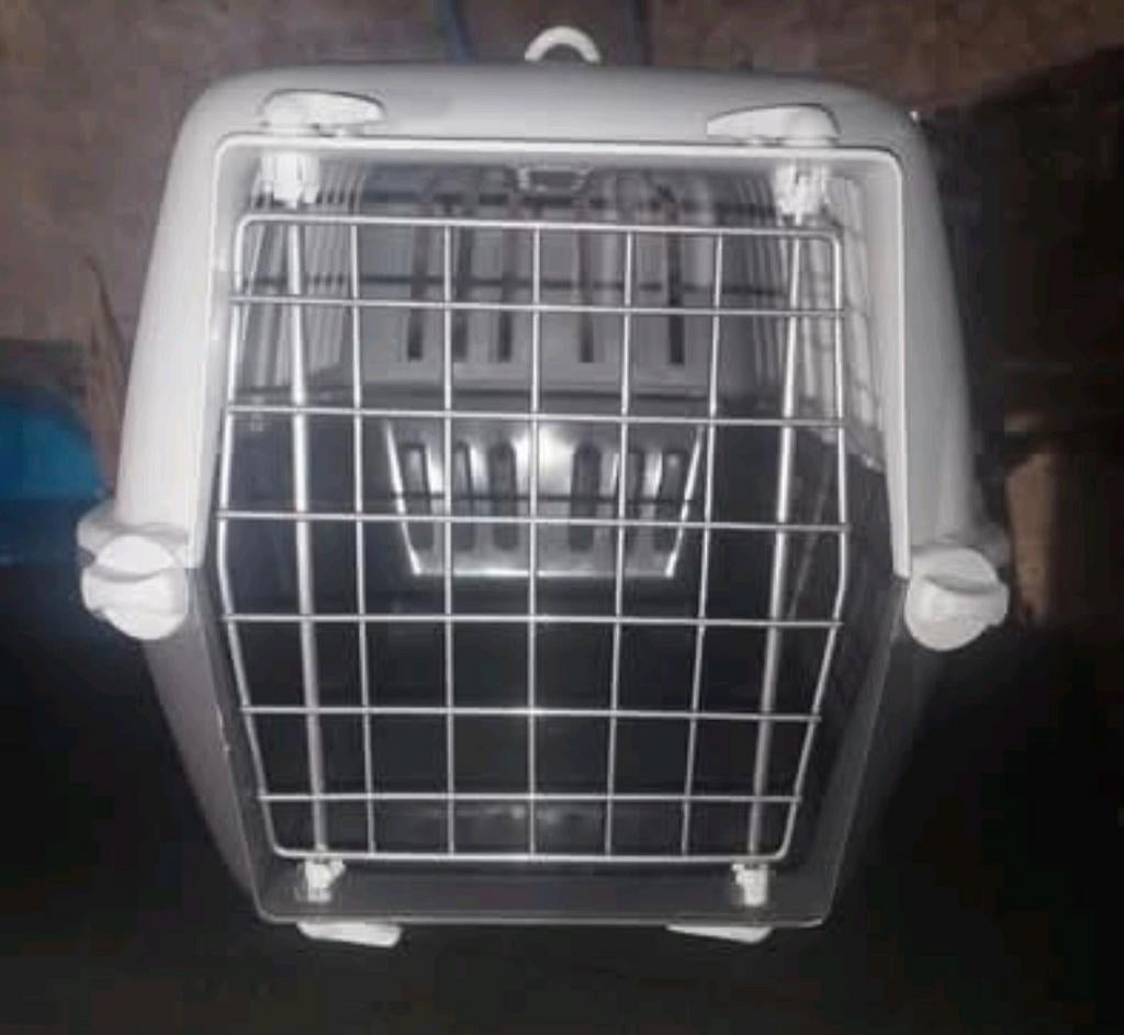 Cage de transport chat, Animaux & Accessoires