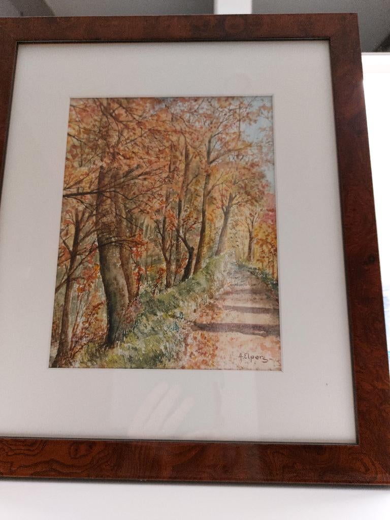 Aquarel pad met bomen, Ophalen