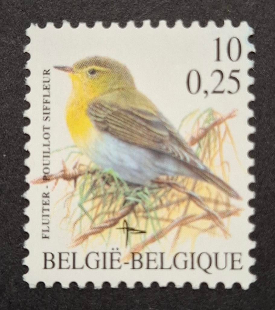 Belgique : COB 2936 ** Oiseaux 2000., Timbres & Monnaies, Timbres | Europe | Belgique, Sans timbre, Neuf, Enlèvement ou Envoi