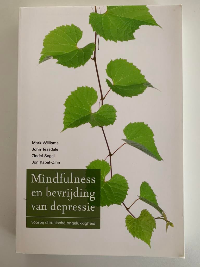 Mark Williams - Mindfulness en bevrijding van depressie, Livres, Psychologie, Comme neuf, Enlèvement ou Envoi