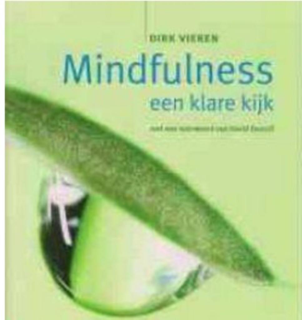 Mindfulness een klare kijk, Dirk Vieren, Enlèvement