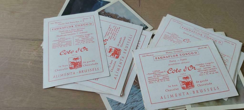 Prentjes v Côte d'or, Enlèvement ou Envoi, Comme neuf