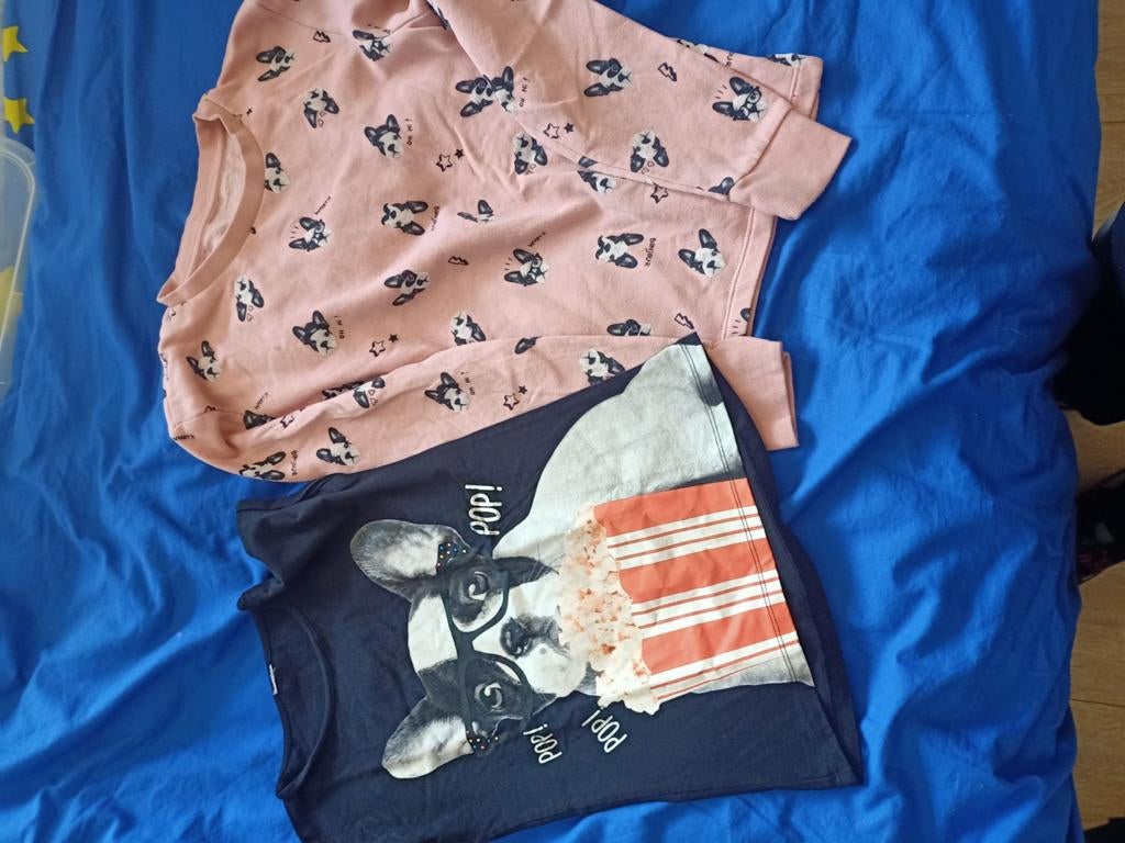 Trui en t-shirt met buldog maat 140 10 j +-, Ophalen of Verzenden, Zo goed als nieuw