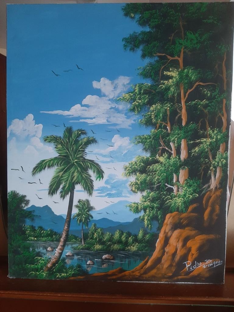 Tropisch schilderij Pedro Vásquez Puerto Plata 48x60 cm, Antiek en Kunst, Kunst | Schilderijen | Klassiek, Landschap, Paneel, Gesigneerd