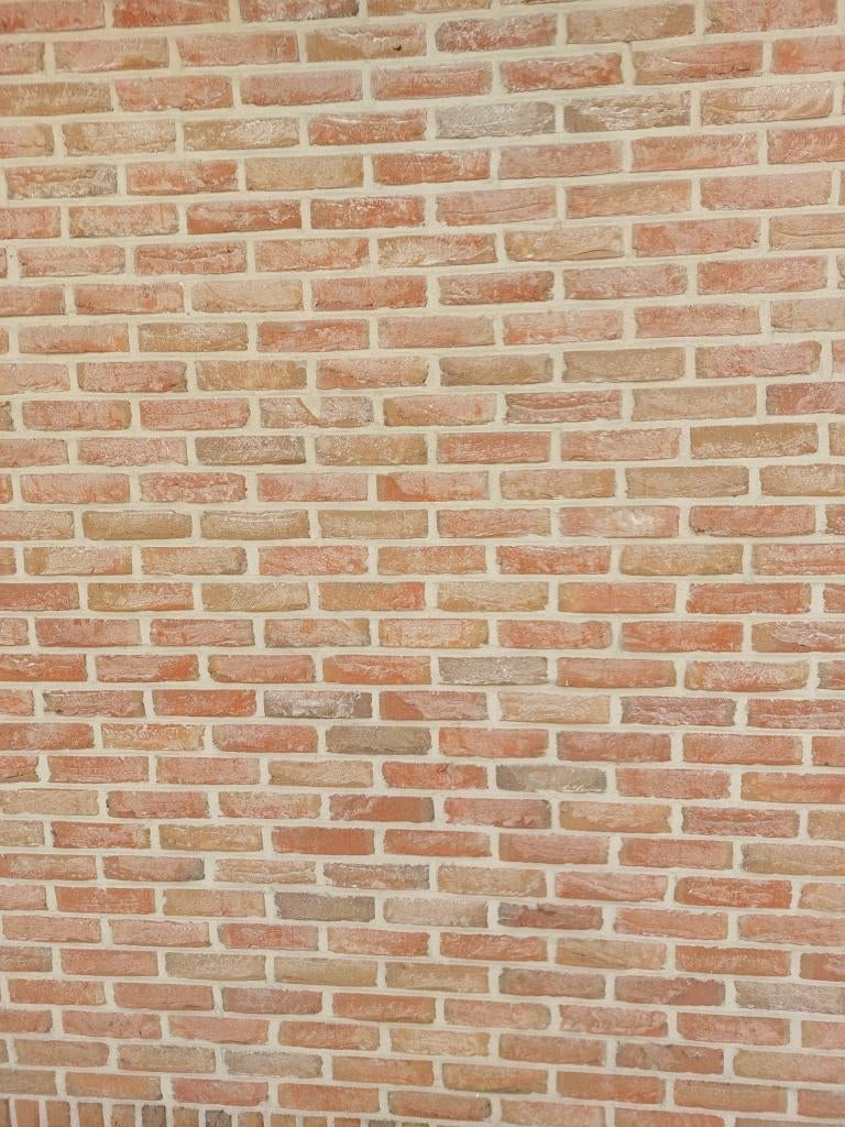 gevelstenen wienerberger oud rieme, Doe-het-zelf en Bouw, Ophalen, Nieuw, Overige typen