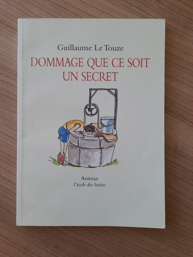 Dommage que ce soit un secret - Animax L'école des, Enlèvement ou Envoi, Comme neuf, Fiction général