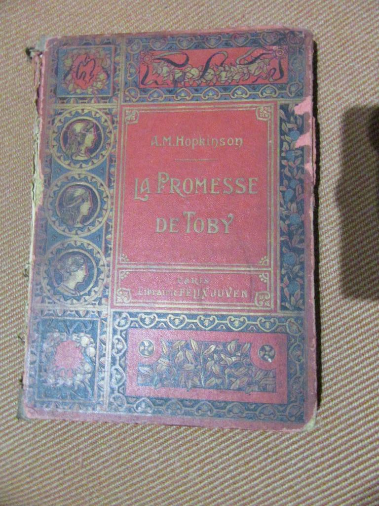 la promesse de Toby A.M. Hopkinson, Enlèvement
