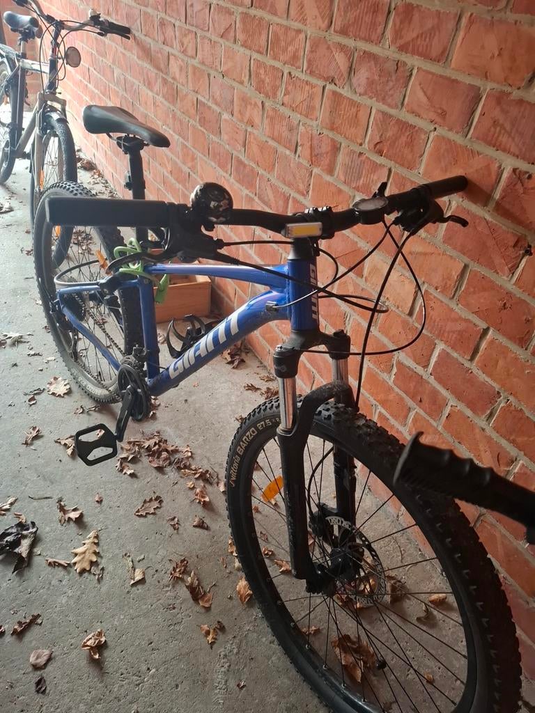 Giant mtb, Fietsen en Brommers, Ophalen