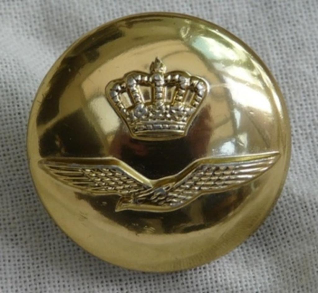Knoop, Uniform DT, Koninklijke Luchtmacht, 22mm, 1 stuks.(1), Ophalen of Verzenden, Luchtmacht, Overige typen