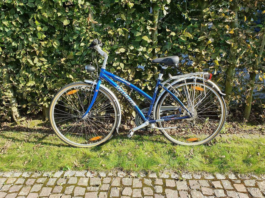 Specialized Crossroads (nr. 2), Enlèvement, Utilisé, Autres marques, Vitesses
