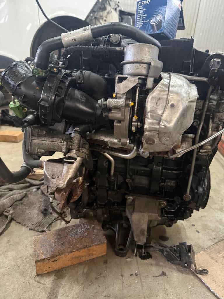 MOTOR 1.6, Ophalen of Verzenden, Gebruikt, Renault