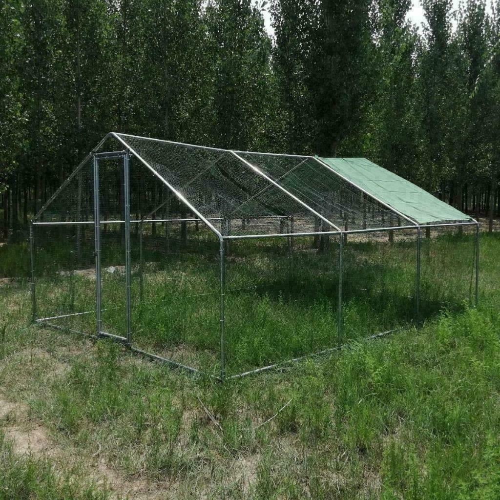 Poulailler 24m² enclos parc poule 6x4x2,80m chatiere voliere, Envoi, Neuf, Poulailler