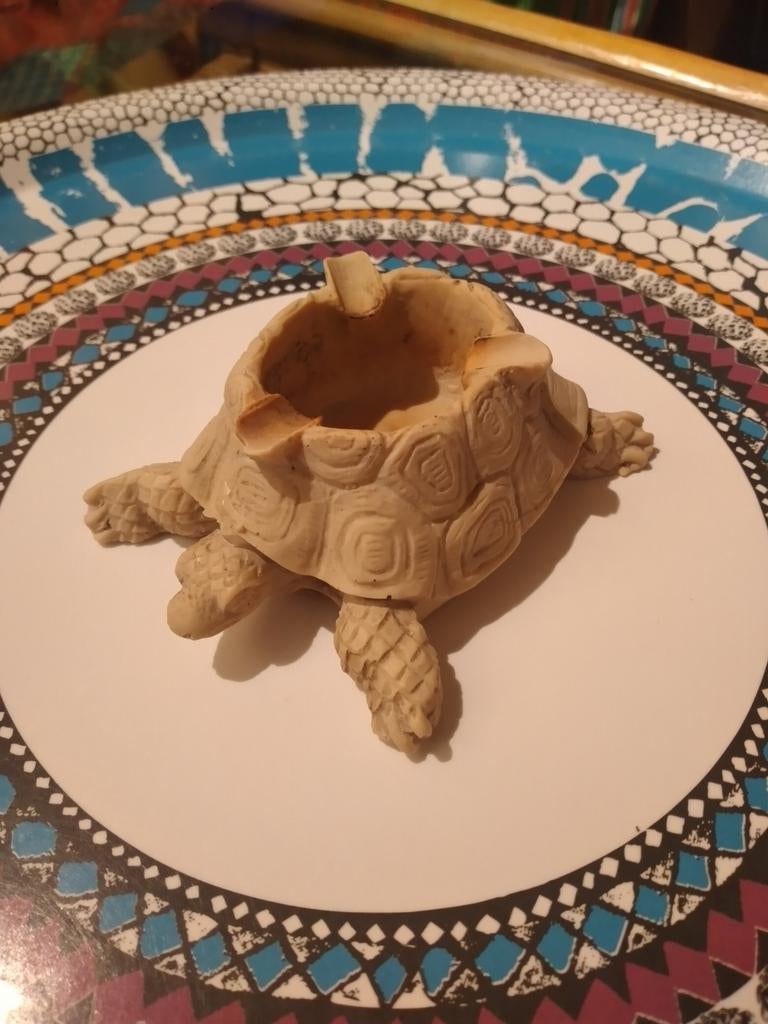 Asbak schildpad, Enlèvement, Utilisé
