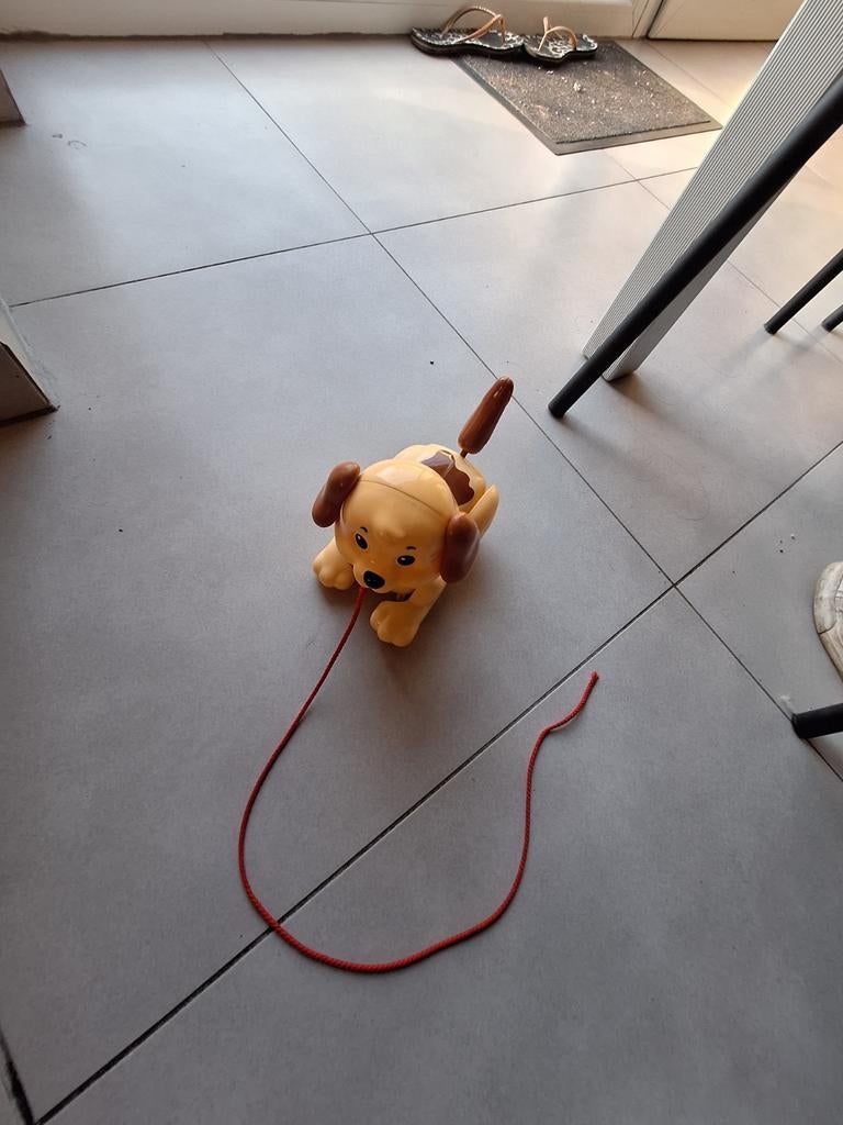 Fisher Price Hond, Enfants & Bébés, Enlèvement ou Envoi, Utilisé, Jouet à Pousser ou Tirer