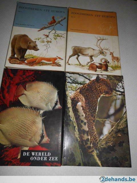 4 artisboeken, Boeken
