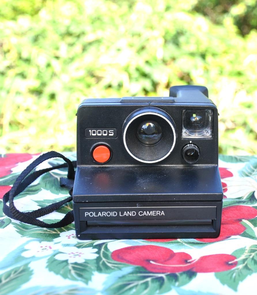 appareil photo polaroid 1000 S, Enlèvement ou Envoi, Appareils photo