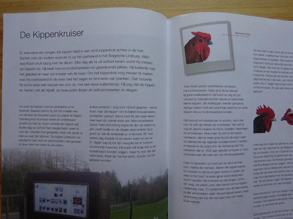 Koen Vanmechelen 2008 Lesbrief/folder - Nijmegen, Ophalen of Verzenden, Nieuw, Folder