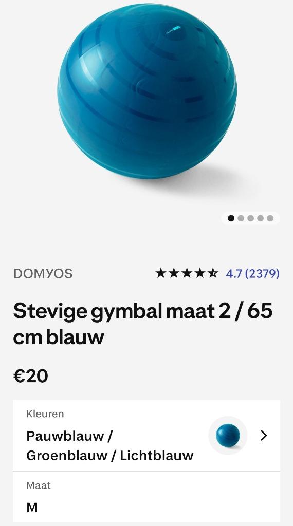 Gymnastiekbal, gymbal, fitness bal, Sport en Fitness, Fitnessmaterialen, Ophalen