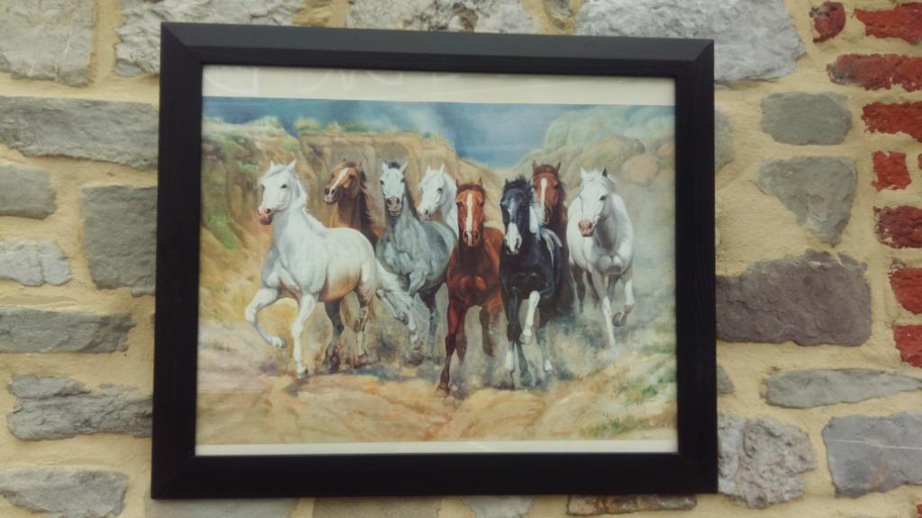 Poster voor paarden | Zwarte geglazuurde lijst, Met lijst, Rechthoekig Liggend, Ophalen of Verzenden, Zo goed als nieuw