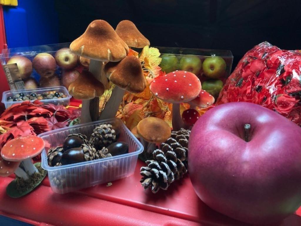 DECORATIE THEMA HERFST, Huis en Inrichting, Ophalen, Zo goed als nieuw