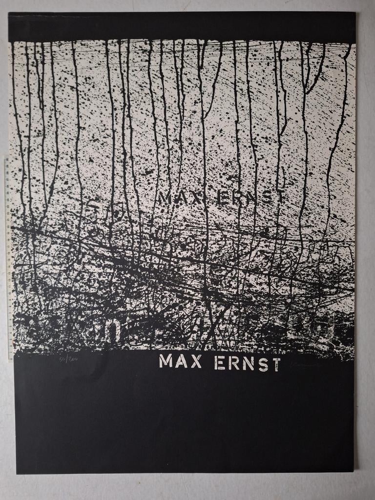 Zeefdruk Luc Hoenraet getiteld "Max Ernst", Antiek en Kunst, Ophalen of Verzenden