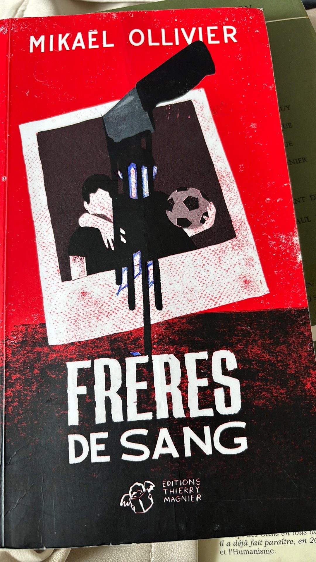 Frère de sang de Mikaël Olivier, Enlèvement ou Envoi, Utilisé, Non-fiction